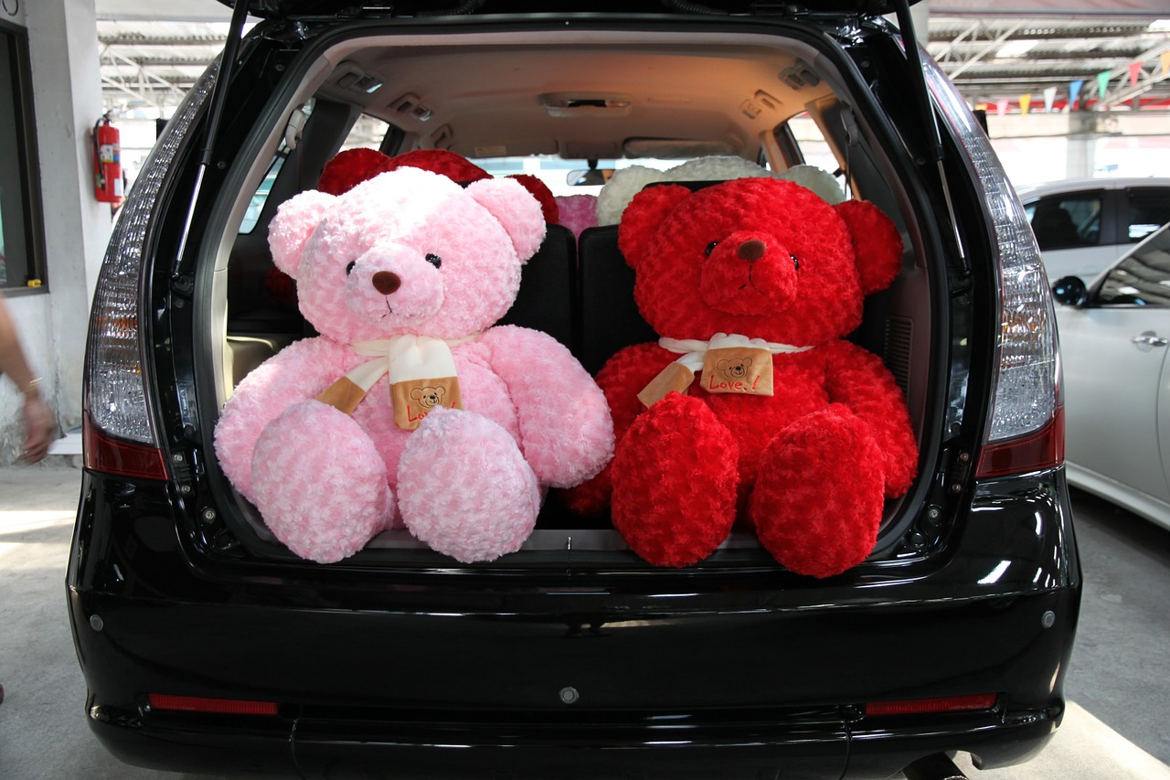 car teddy space wagon free photo