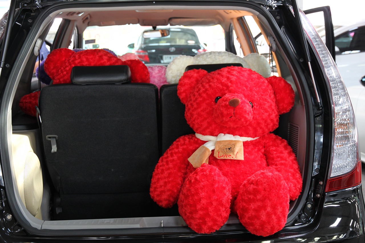 car teddy space wagon free photo