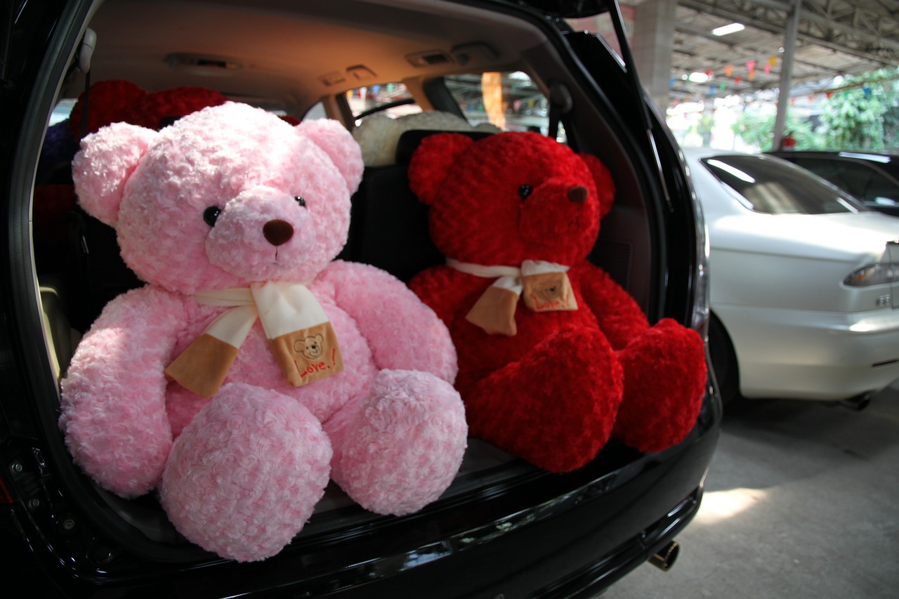 car teddy space wagon free photo