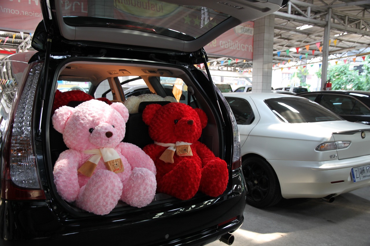 car teddy space wagon free photo