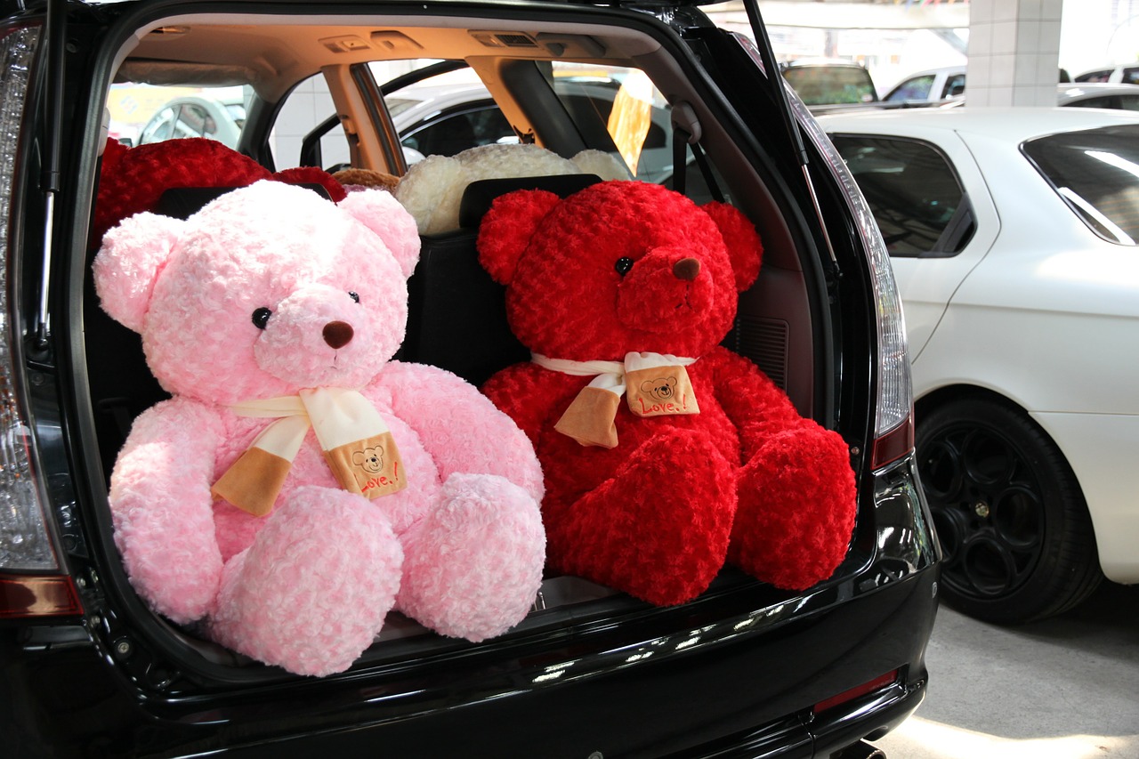 car teddy space wagon free photo