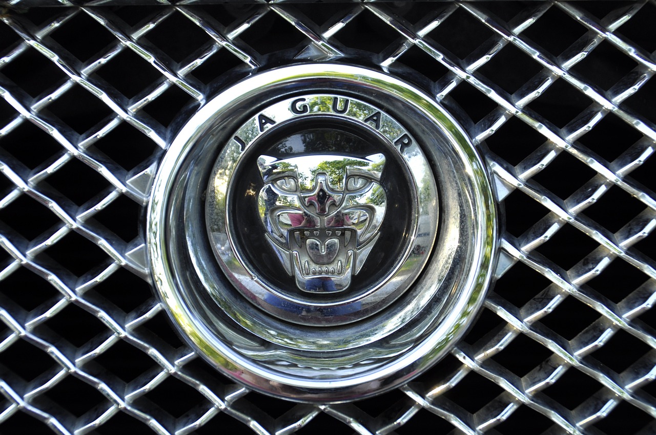 car character jaguar free photo