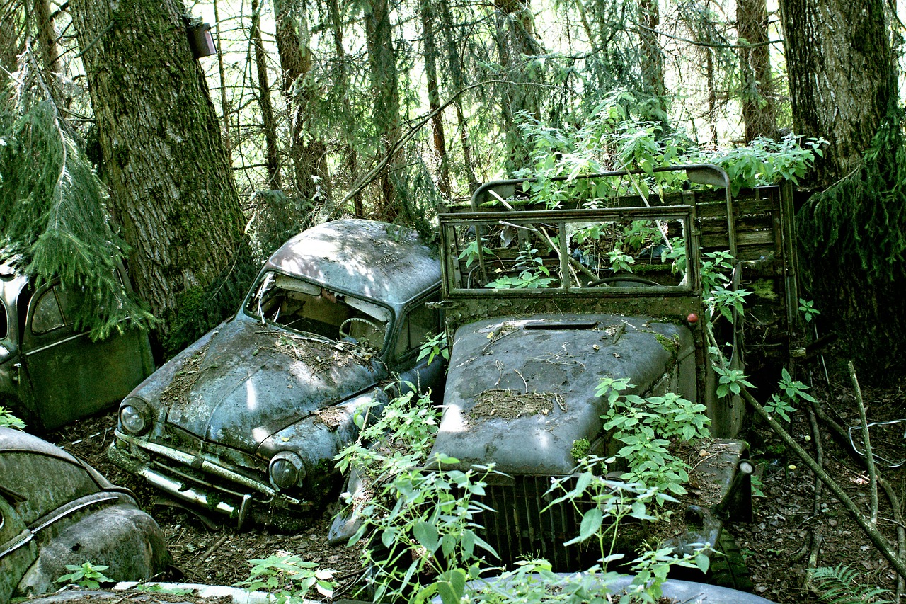car cemetery discarded old free photo