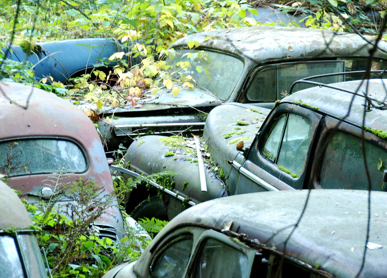 car cemetery old cars neglected free photo