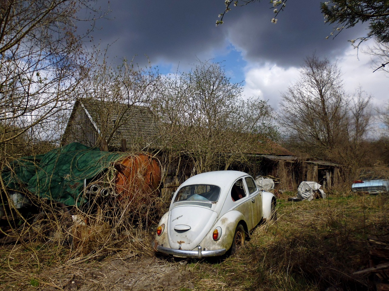 car cemetery scrap wreck free photo