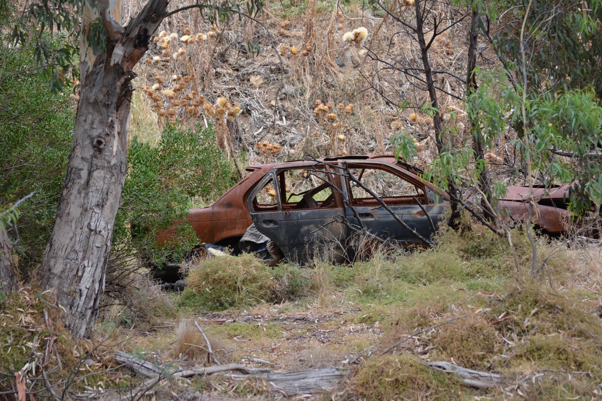 car wreck australia free photo