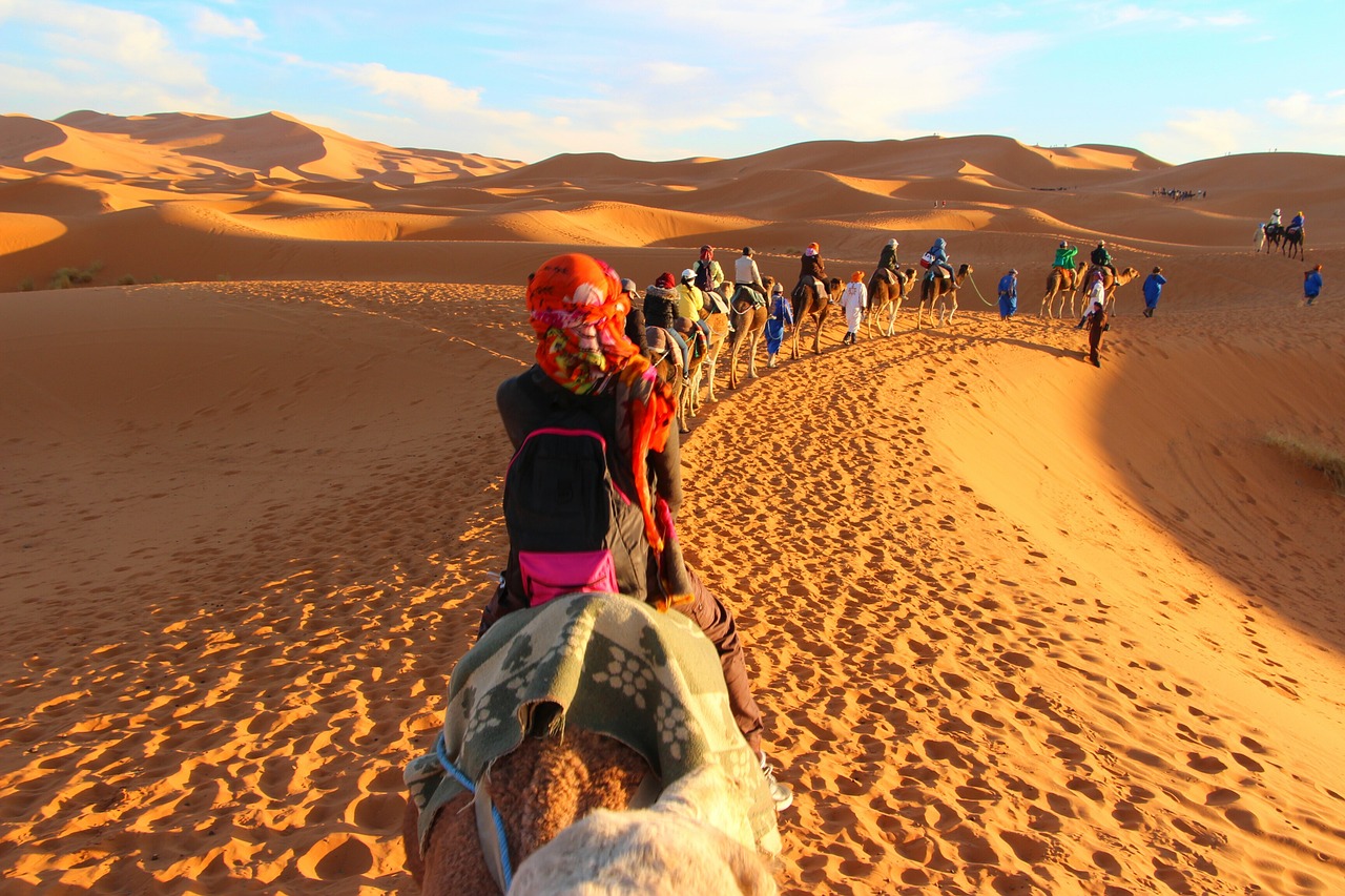 caravan camels adventure free photo