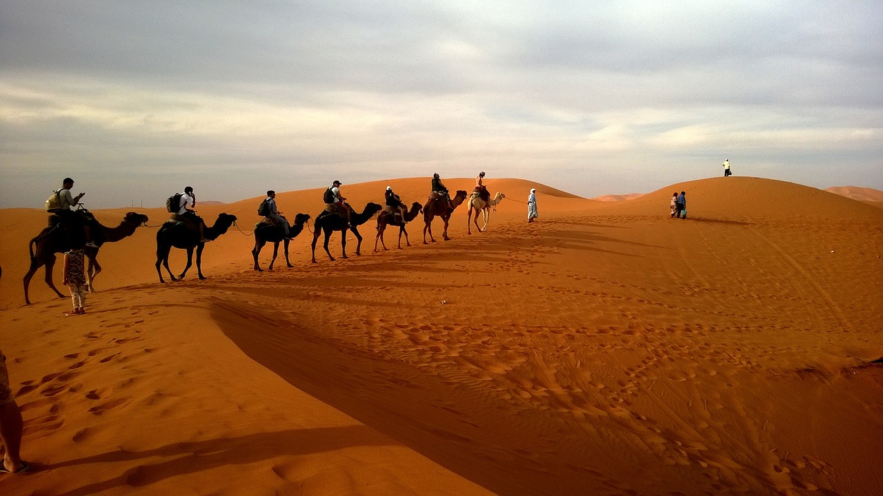 caravan desert safari free photo