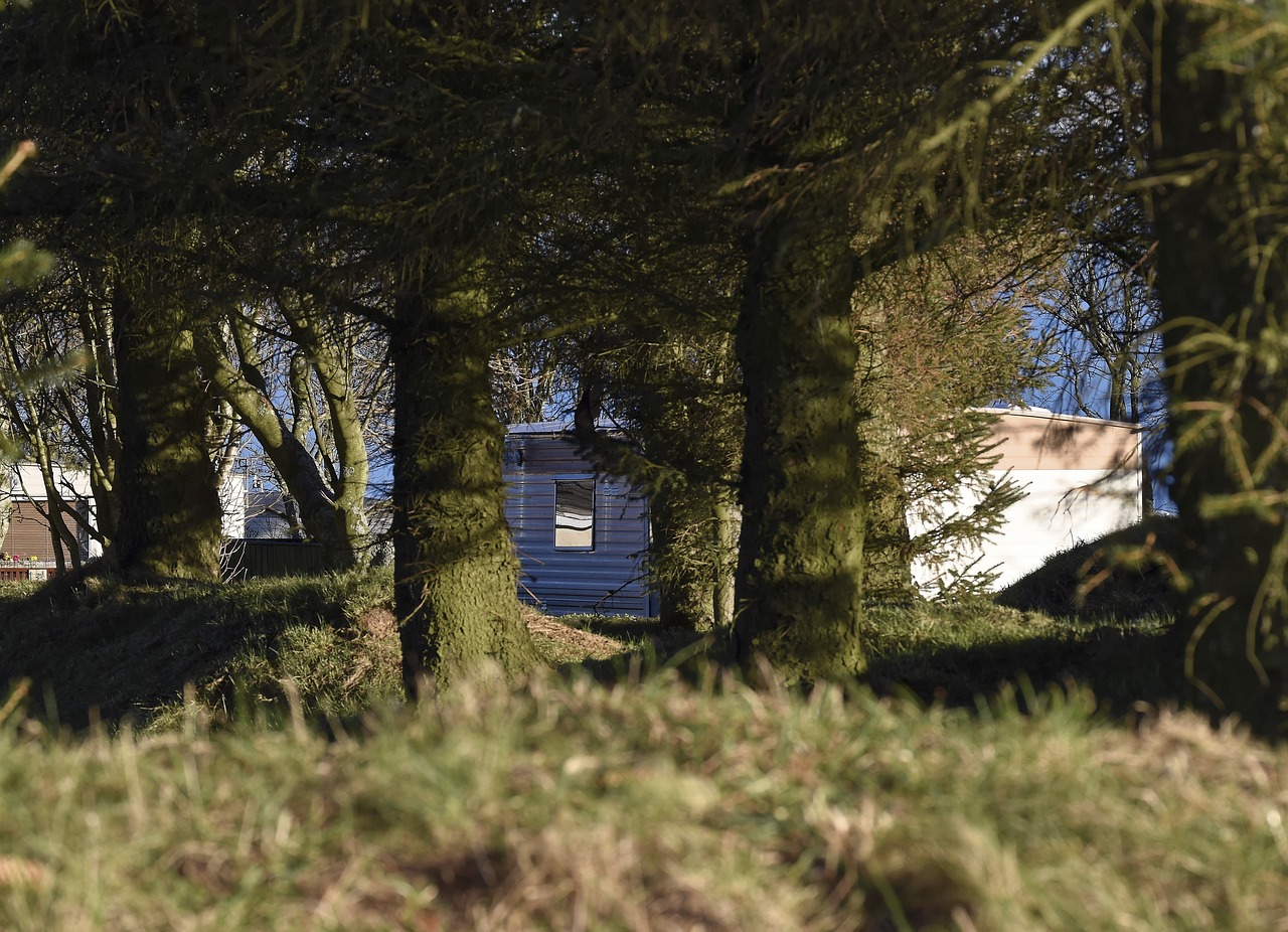 caravan static caravan trees free photo