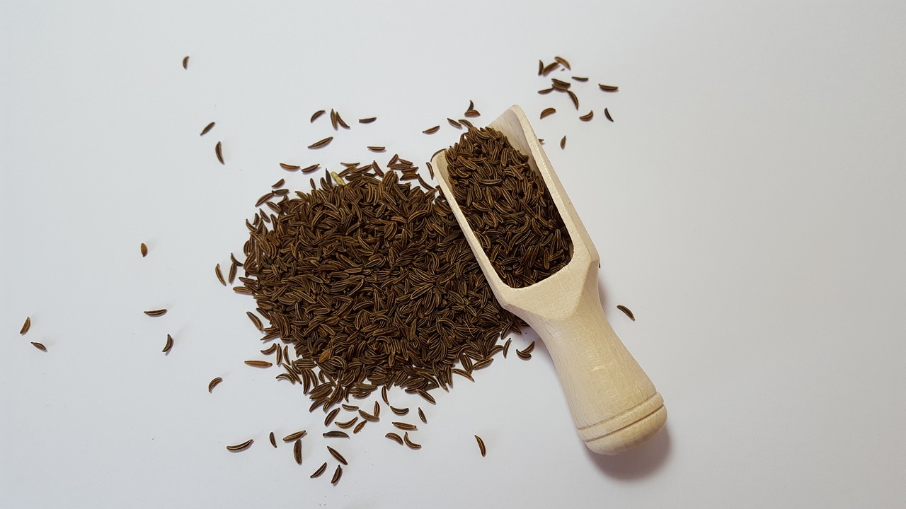 caraway herbs spices free photo