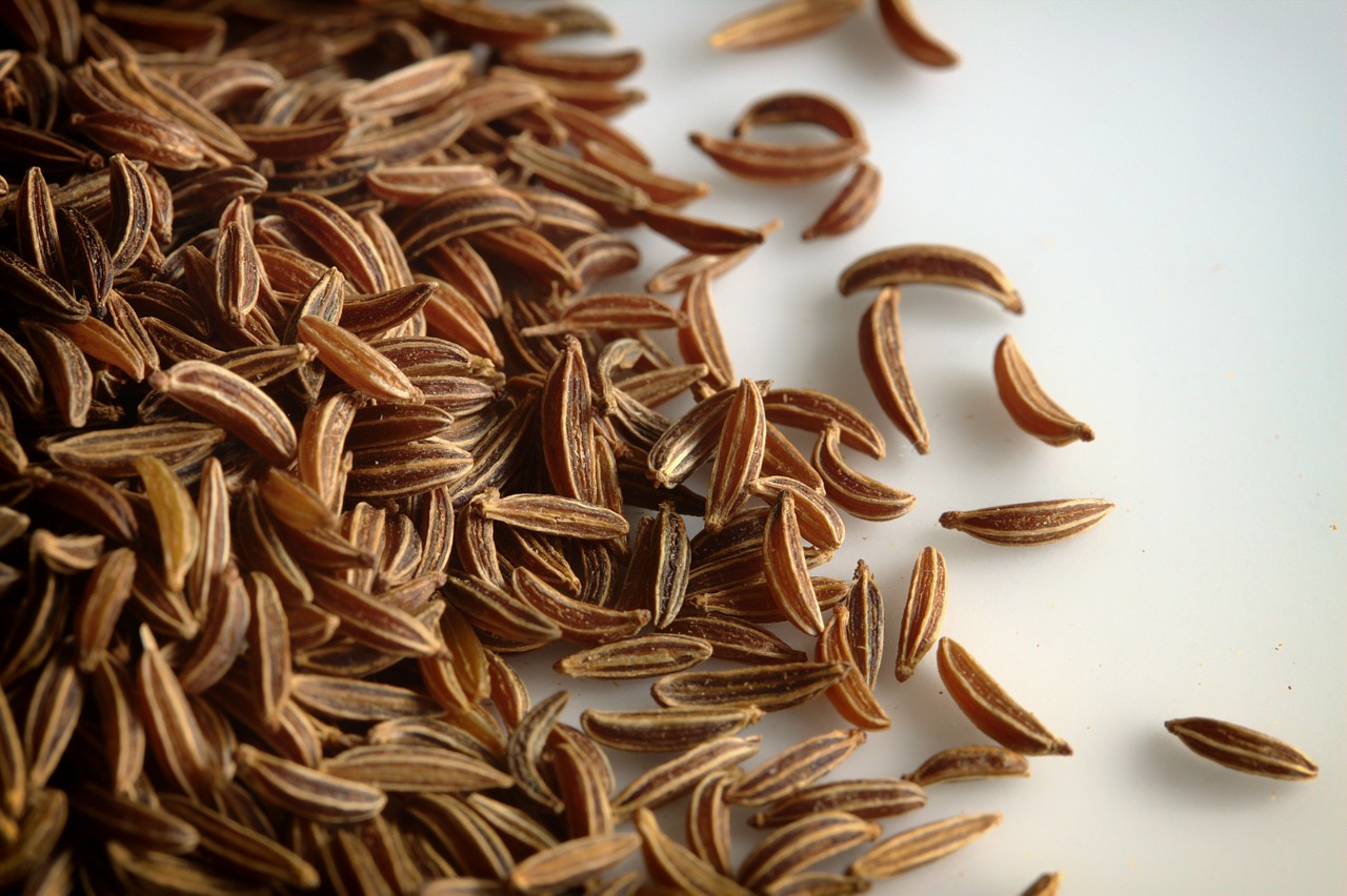 caraway seeds macro close-up free photo