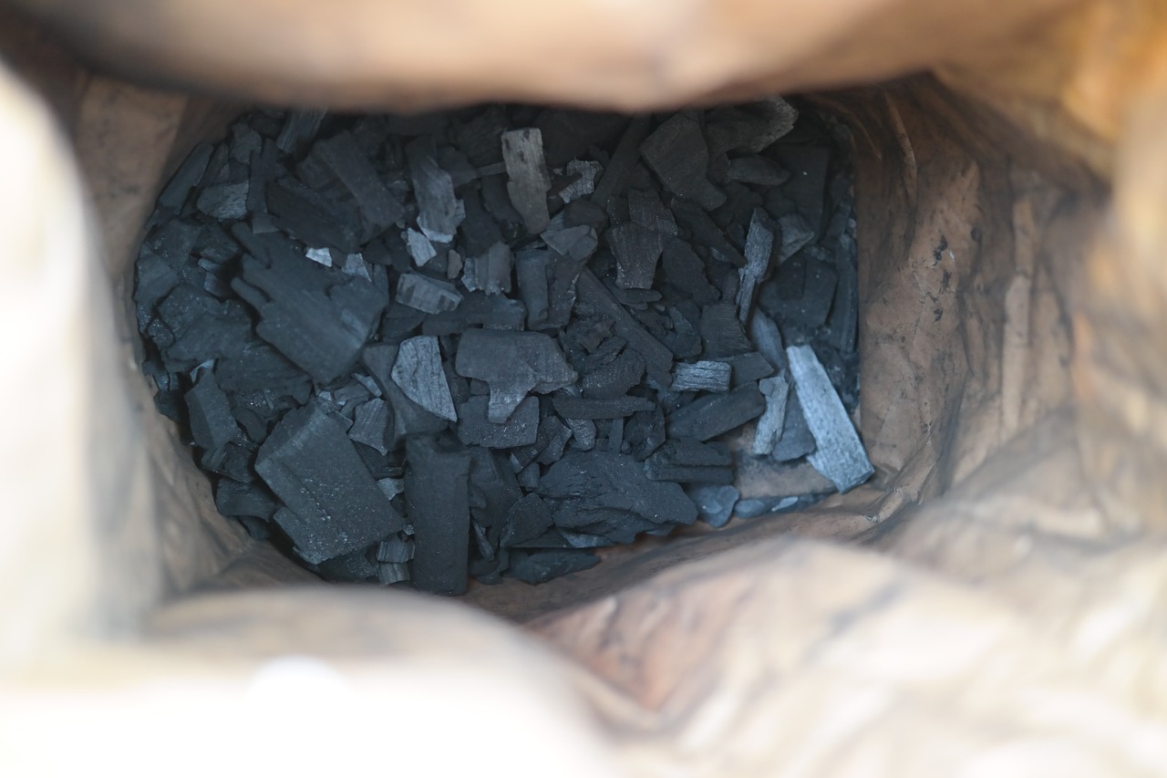 carbon charcoal bag free photo