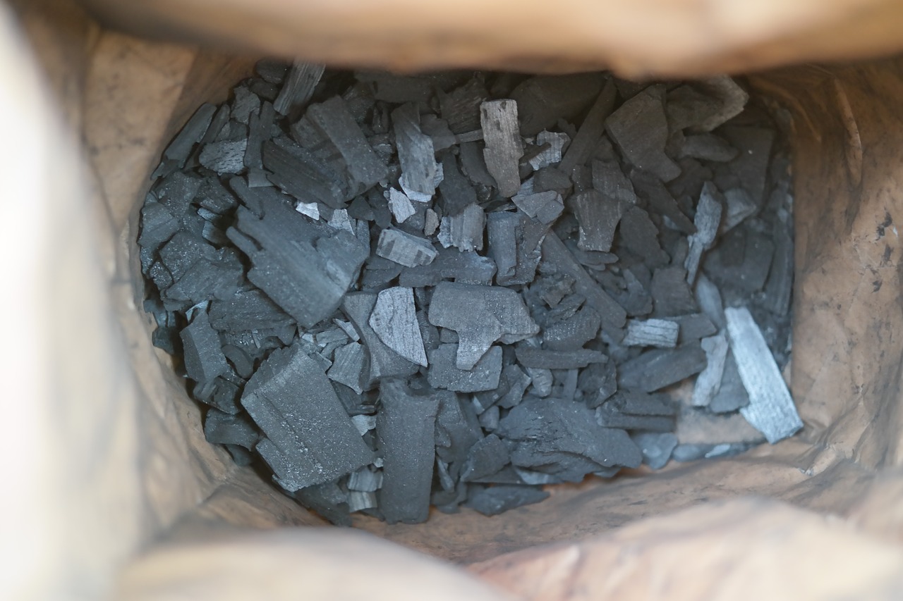 carbon charcoal bag free photo