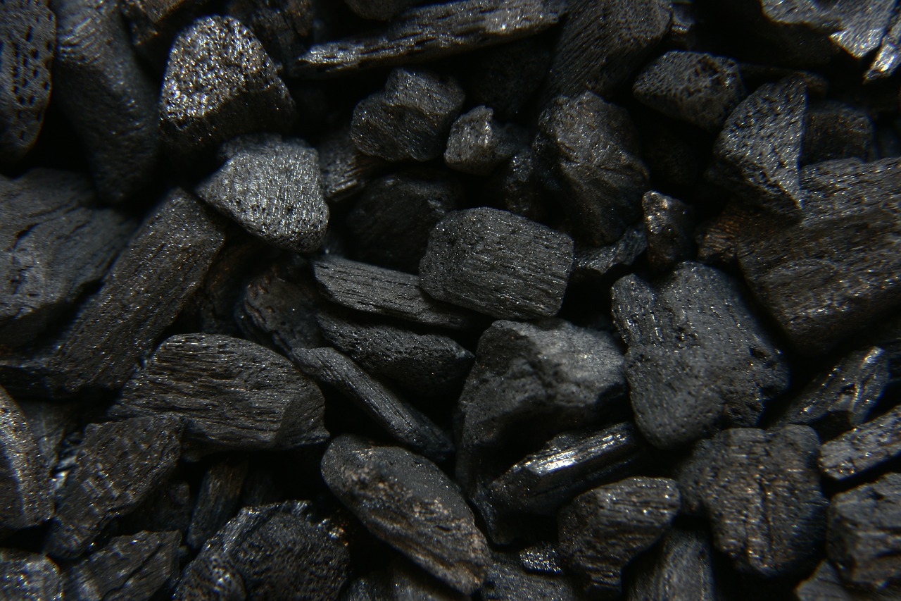carbon black barbecue free photo