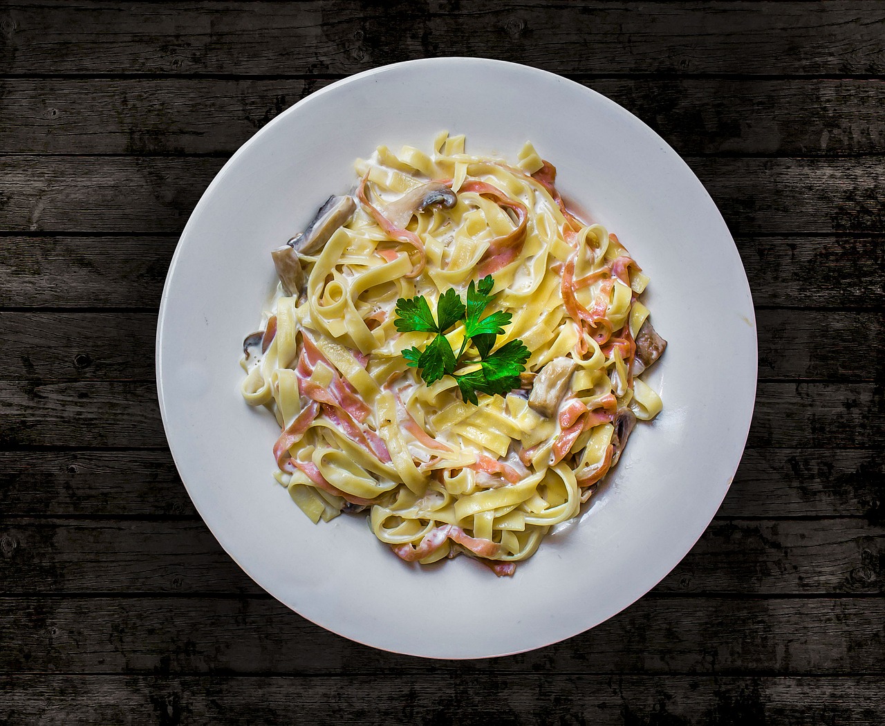 carbonara pasta plate free photo