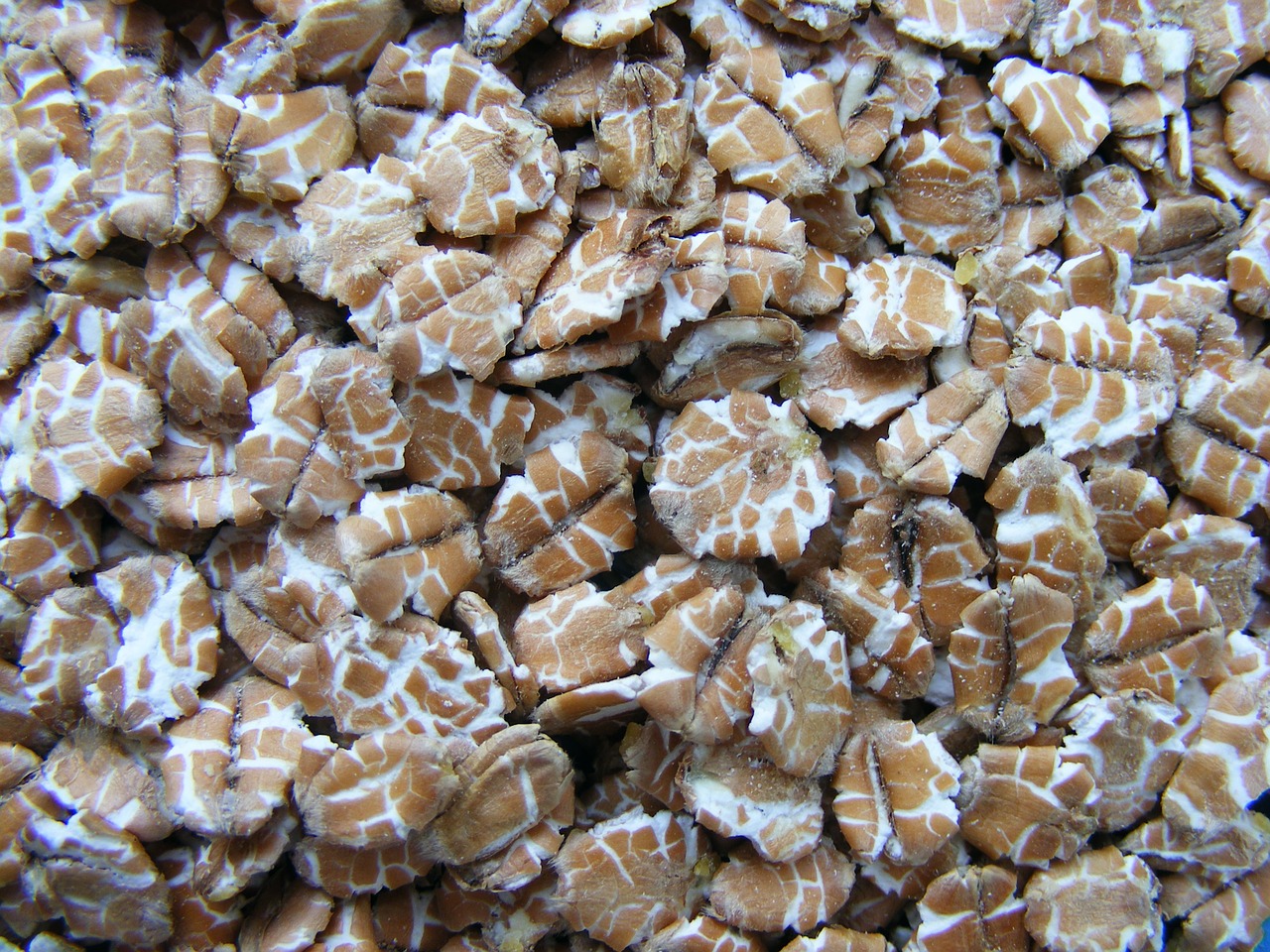 carbs cereals nutritional free photo