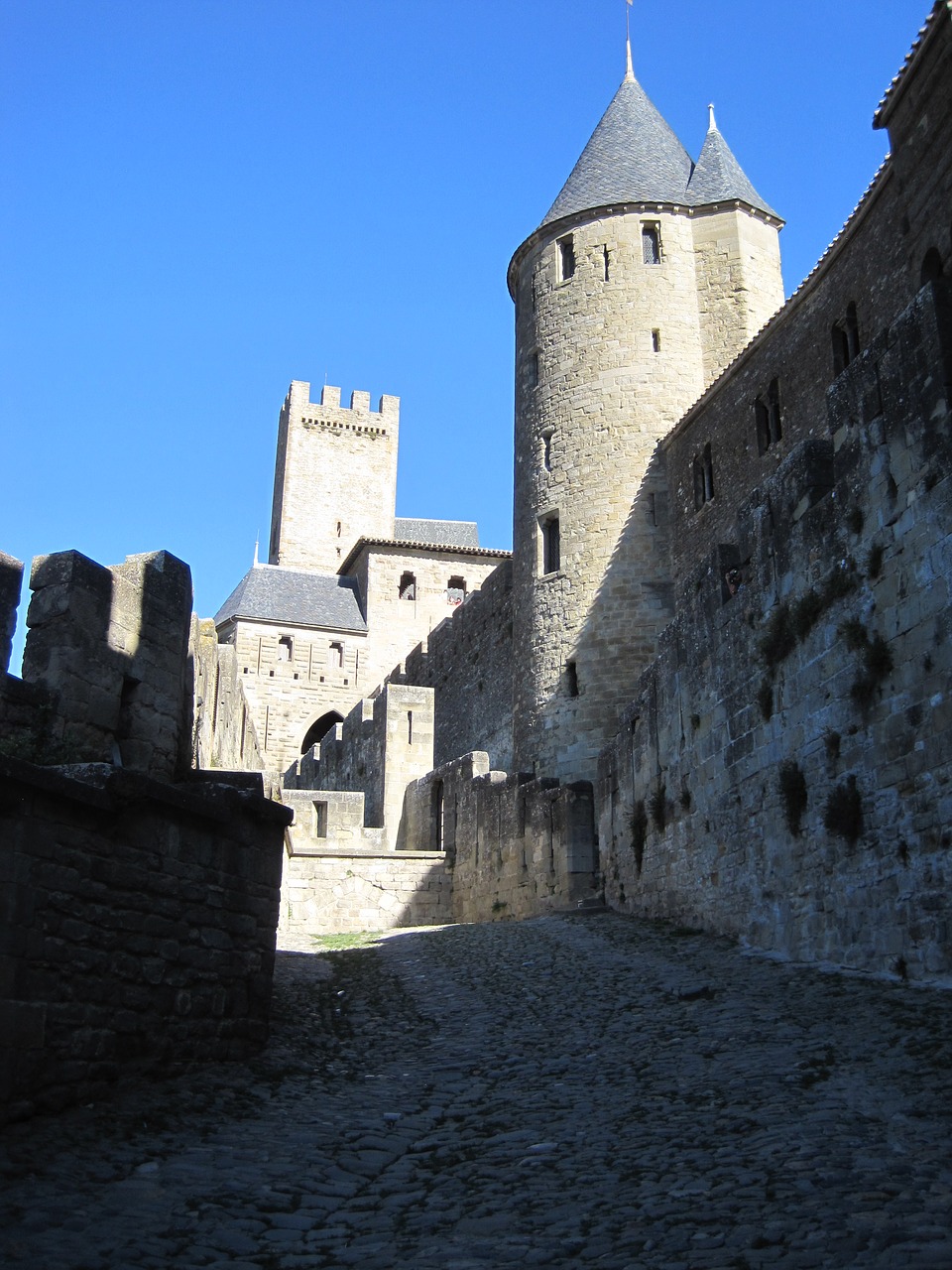 carcassonne castle forte free photo