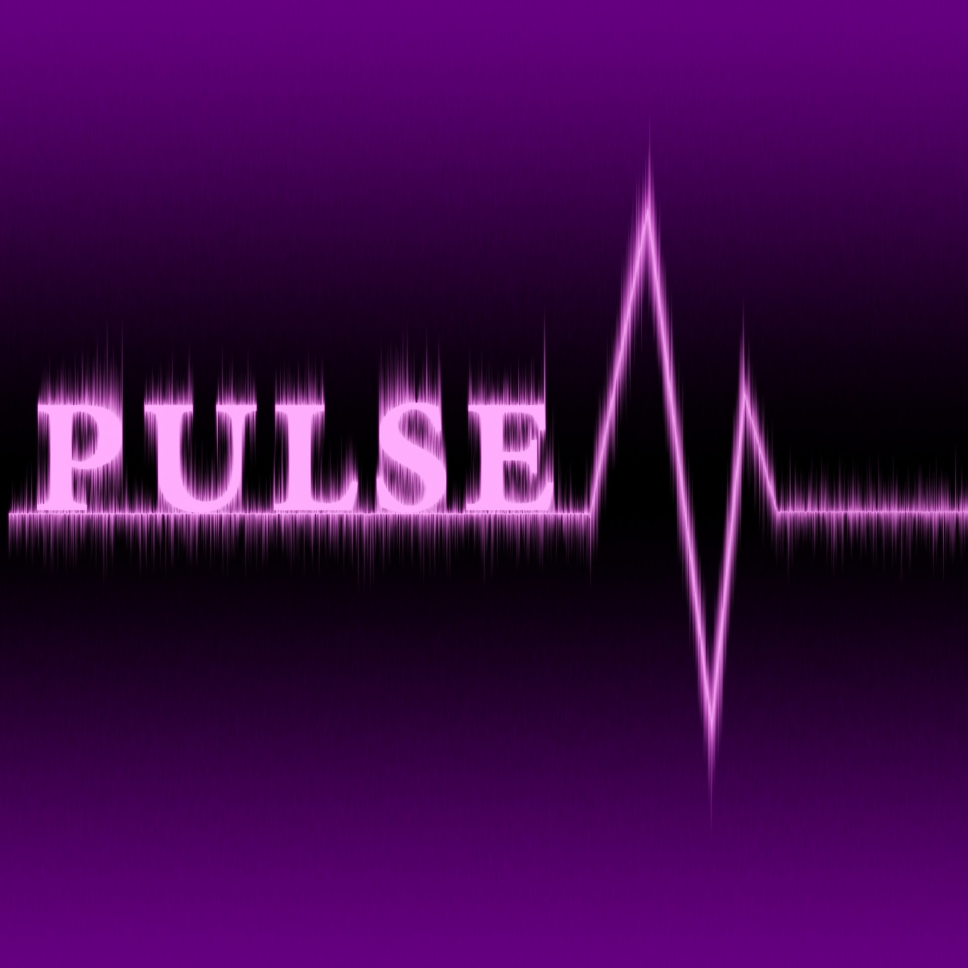 pulse cardiac heart free photo
