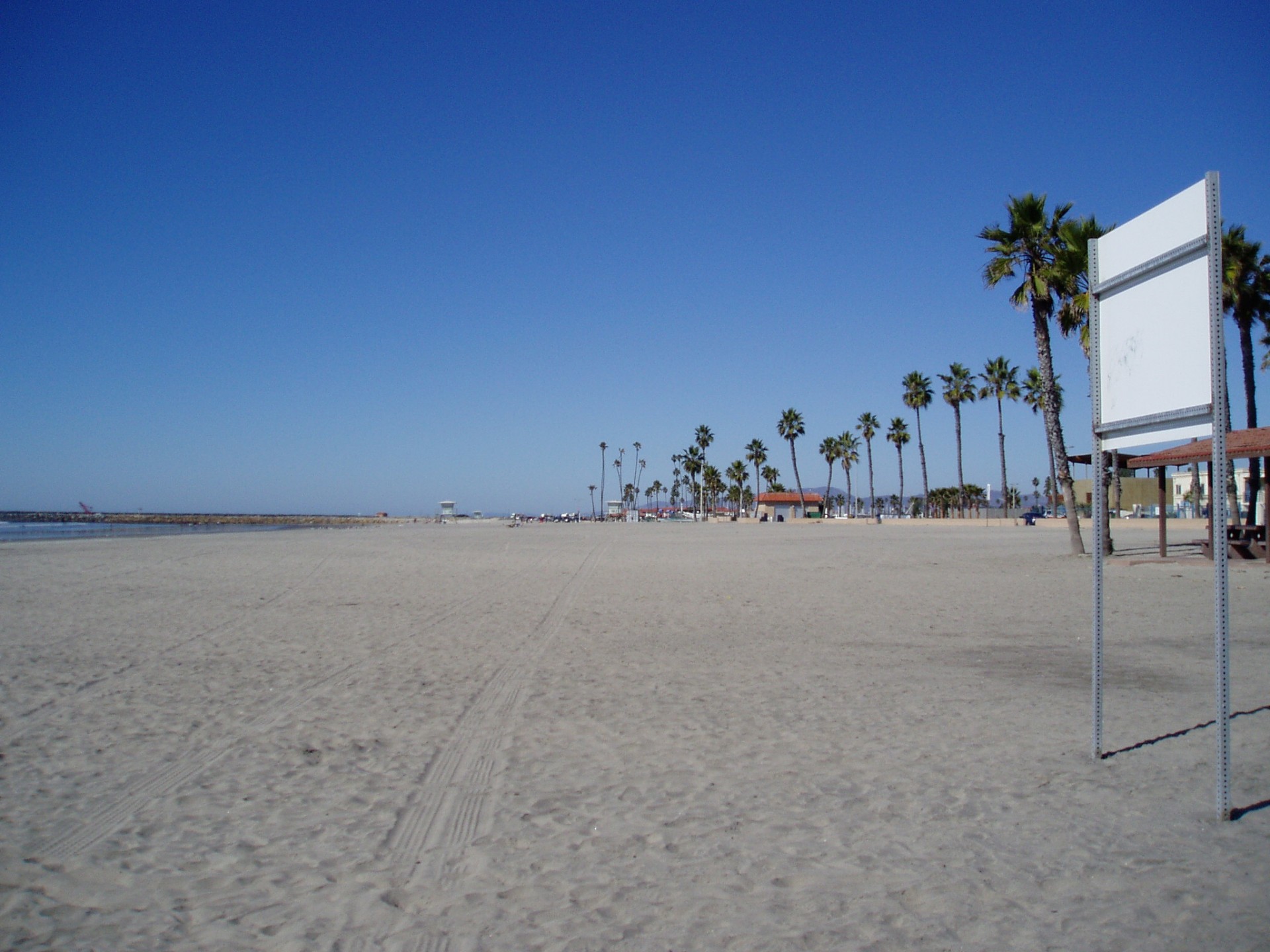 clear blue sky palm trees california beach free photo