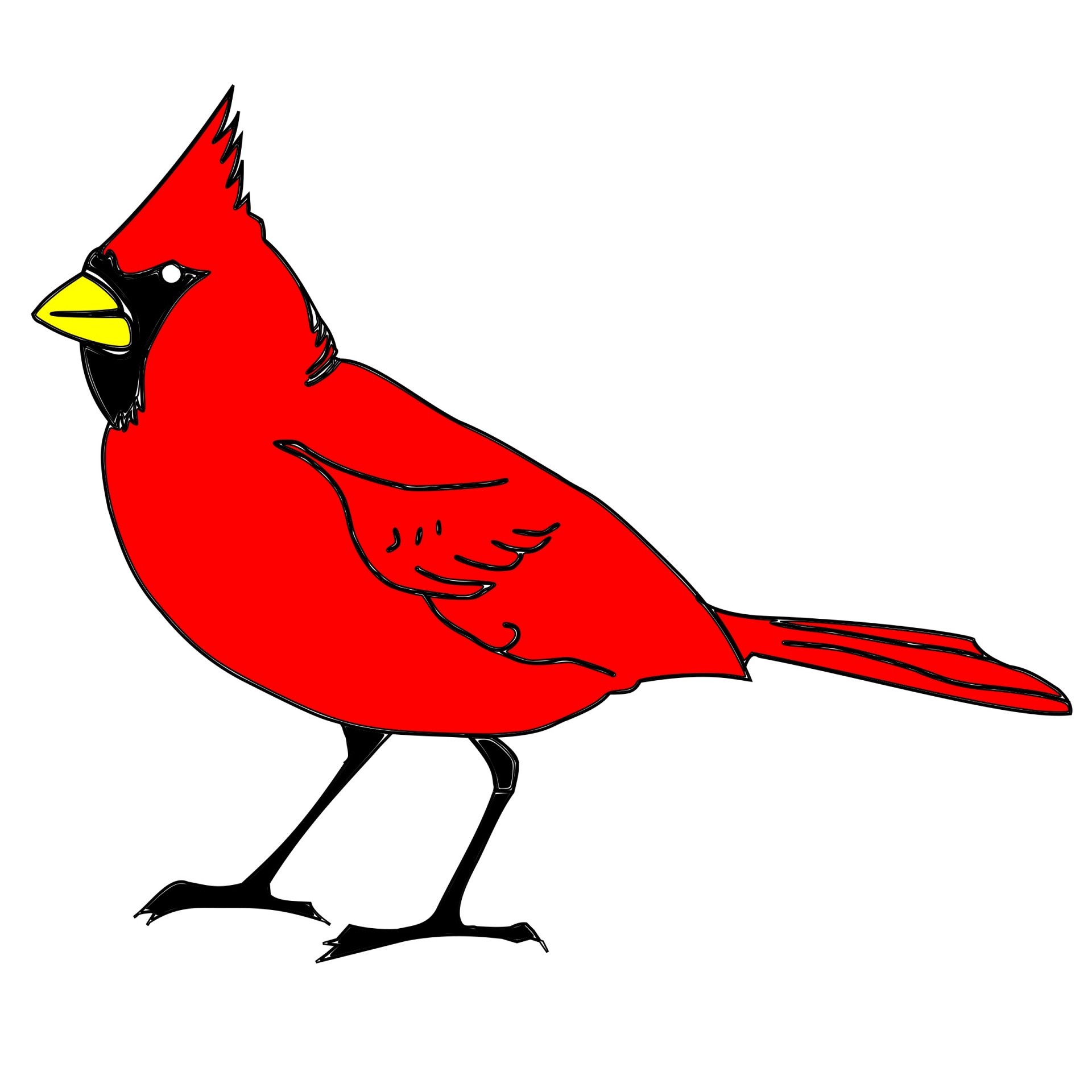 cardinal bird art free photo