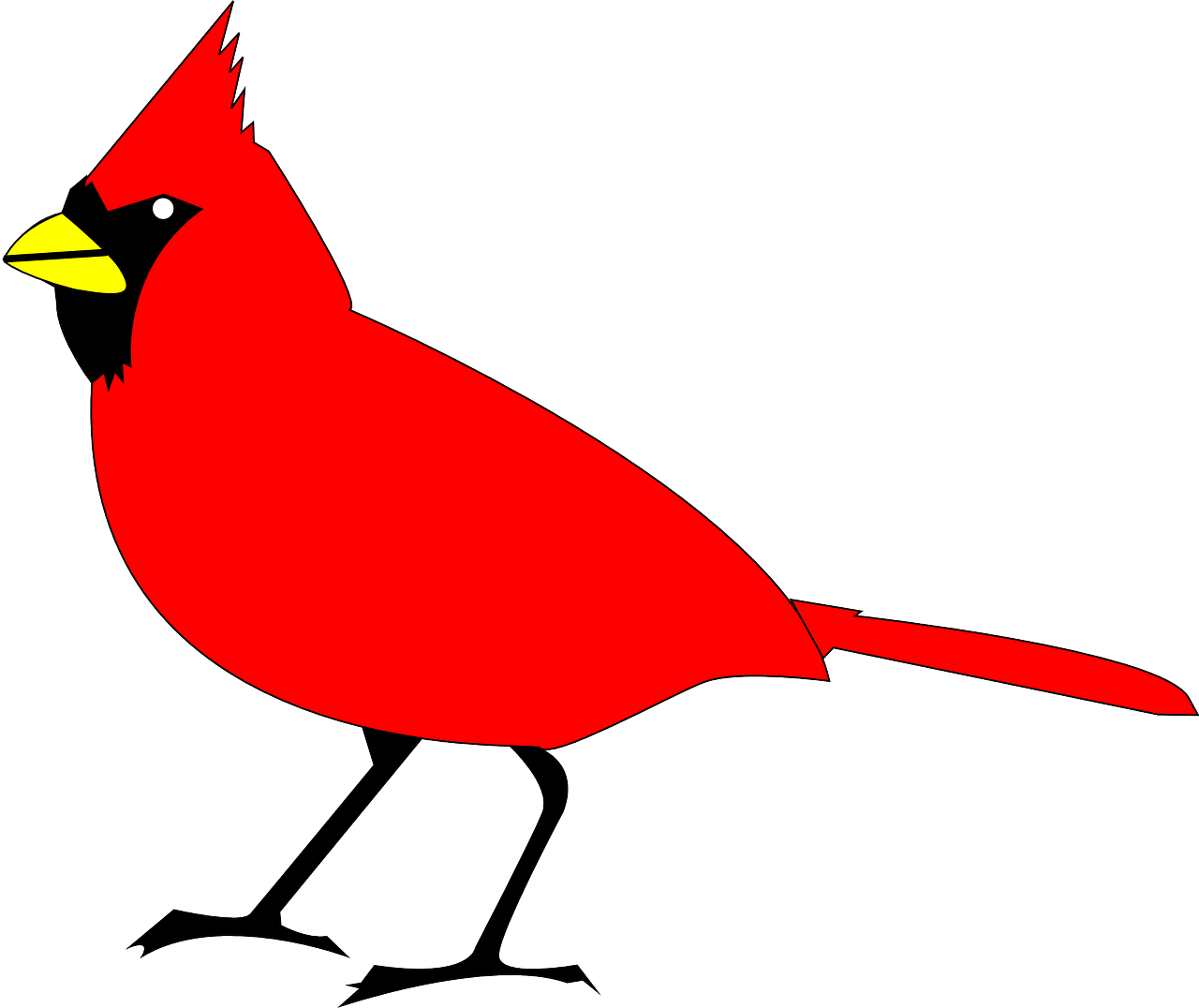 cardinal bird animal free photo