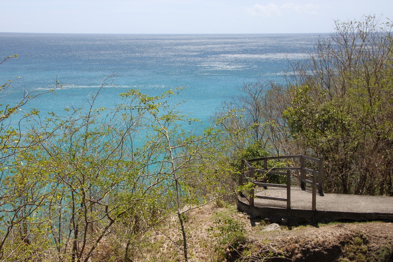 caribbean view sea free photo