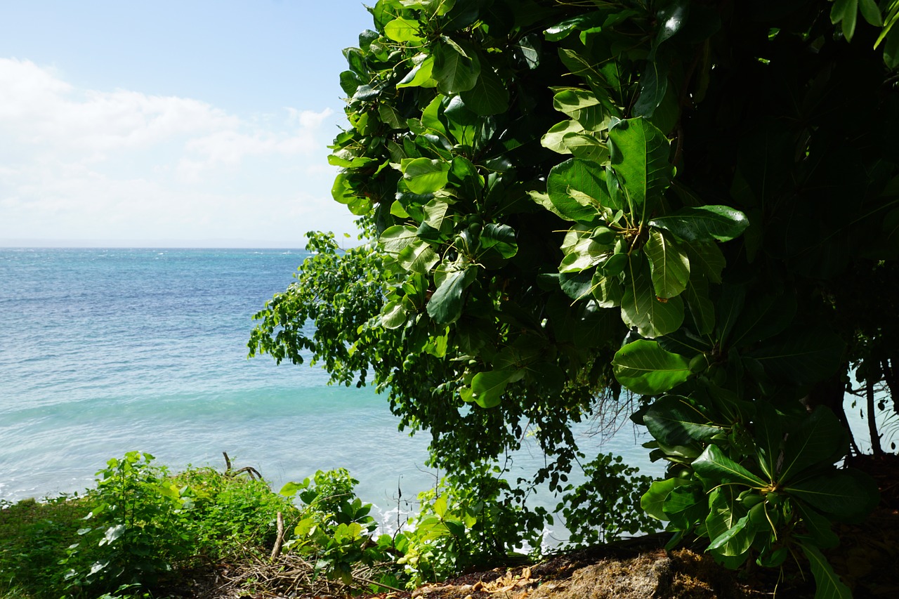 caribbean island sea free photo