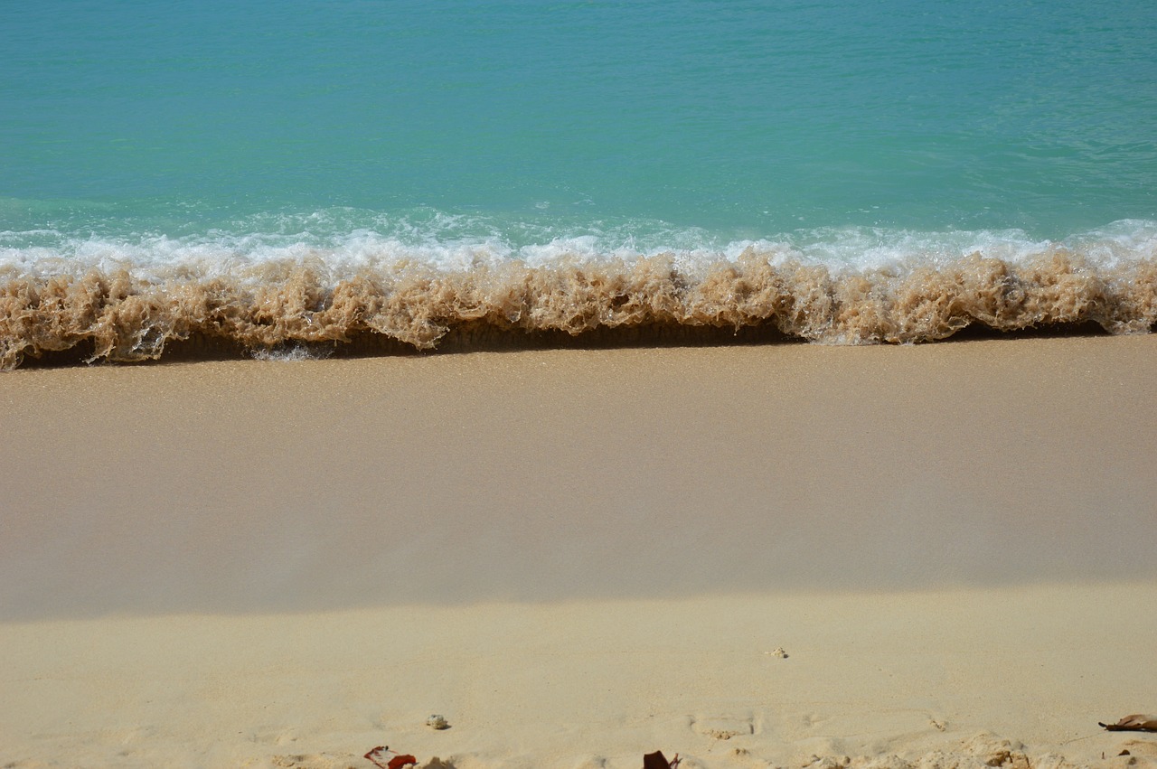 caribbean sandy beach guadeloupe free photo
