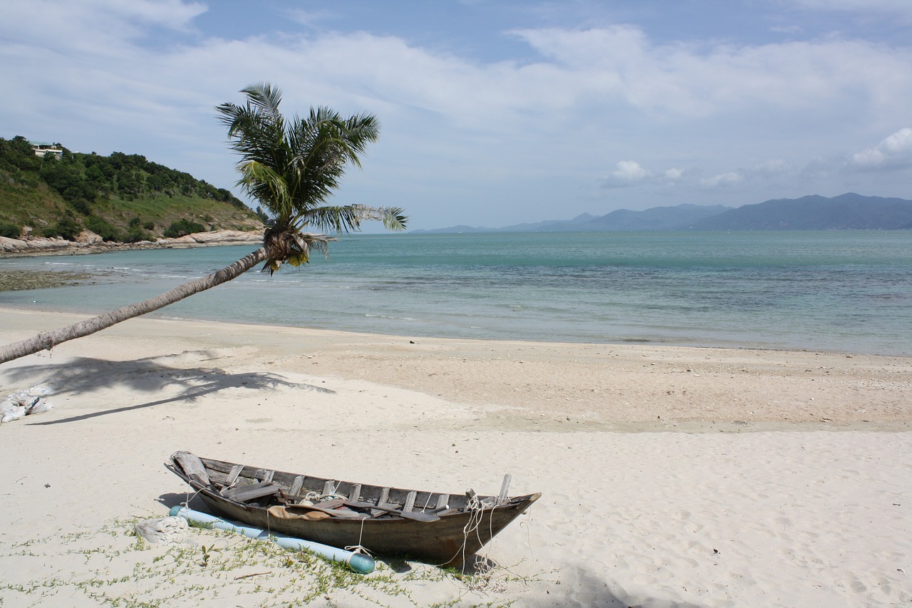 caribbean sea hammock free photo