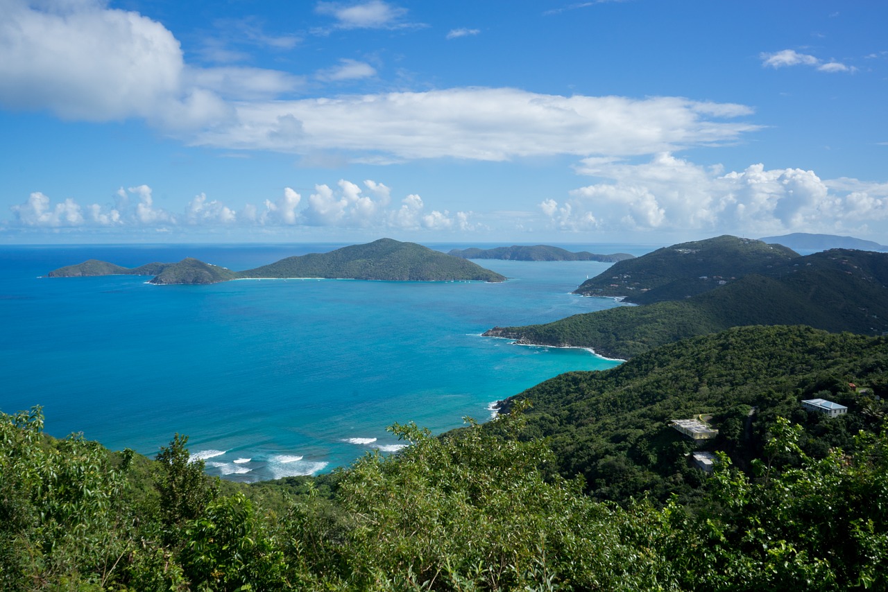 caribbean coast beach free photo