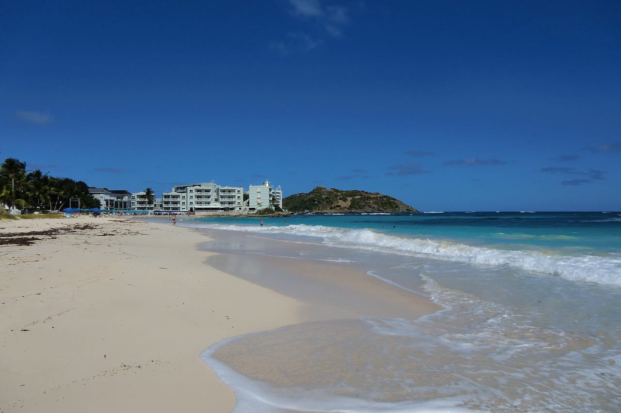 caribbean beach ocean free photo