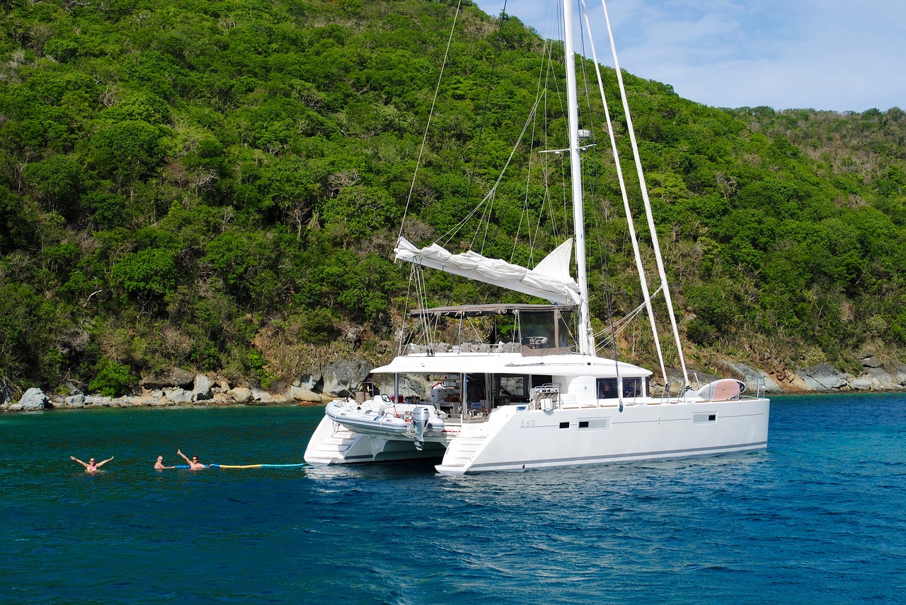 caribbean catamaran grenadines free photo