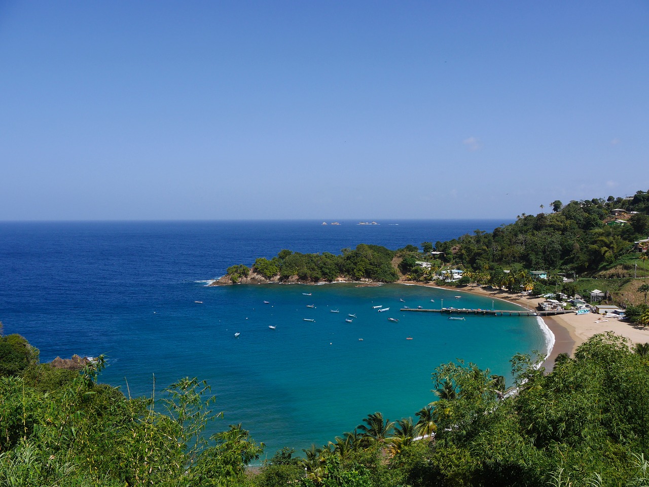 caribbean coastline tropical free photo