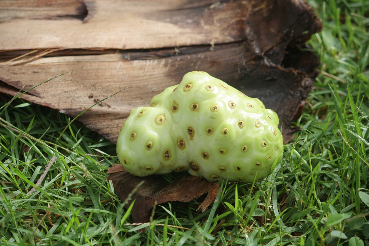 caribbean fruit dominican republic free photo