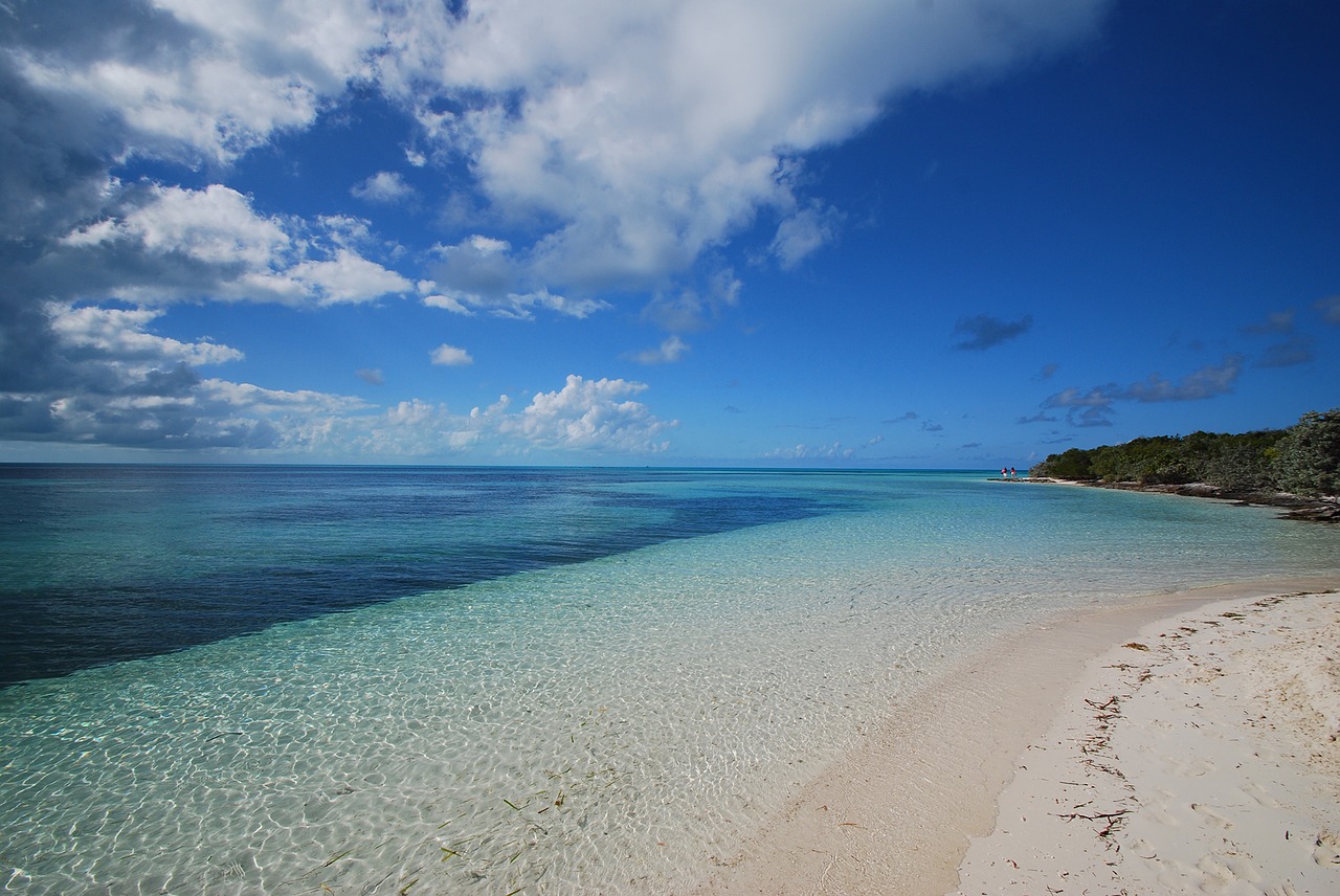 caribbean beach blue water free photo