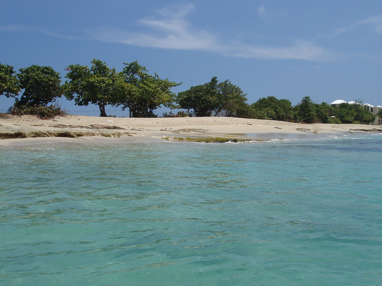 caribbean sea st croix free photo