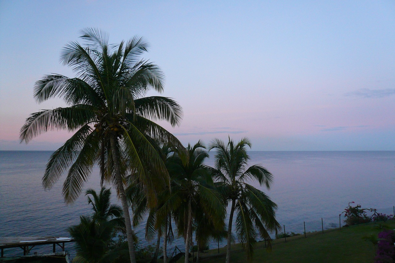 caribbean palm trees beach free photo