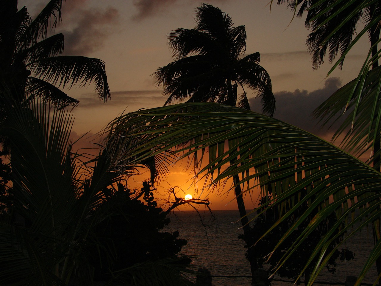 caribbean sunset summer free photo