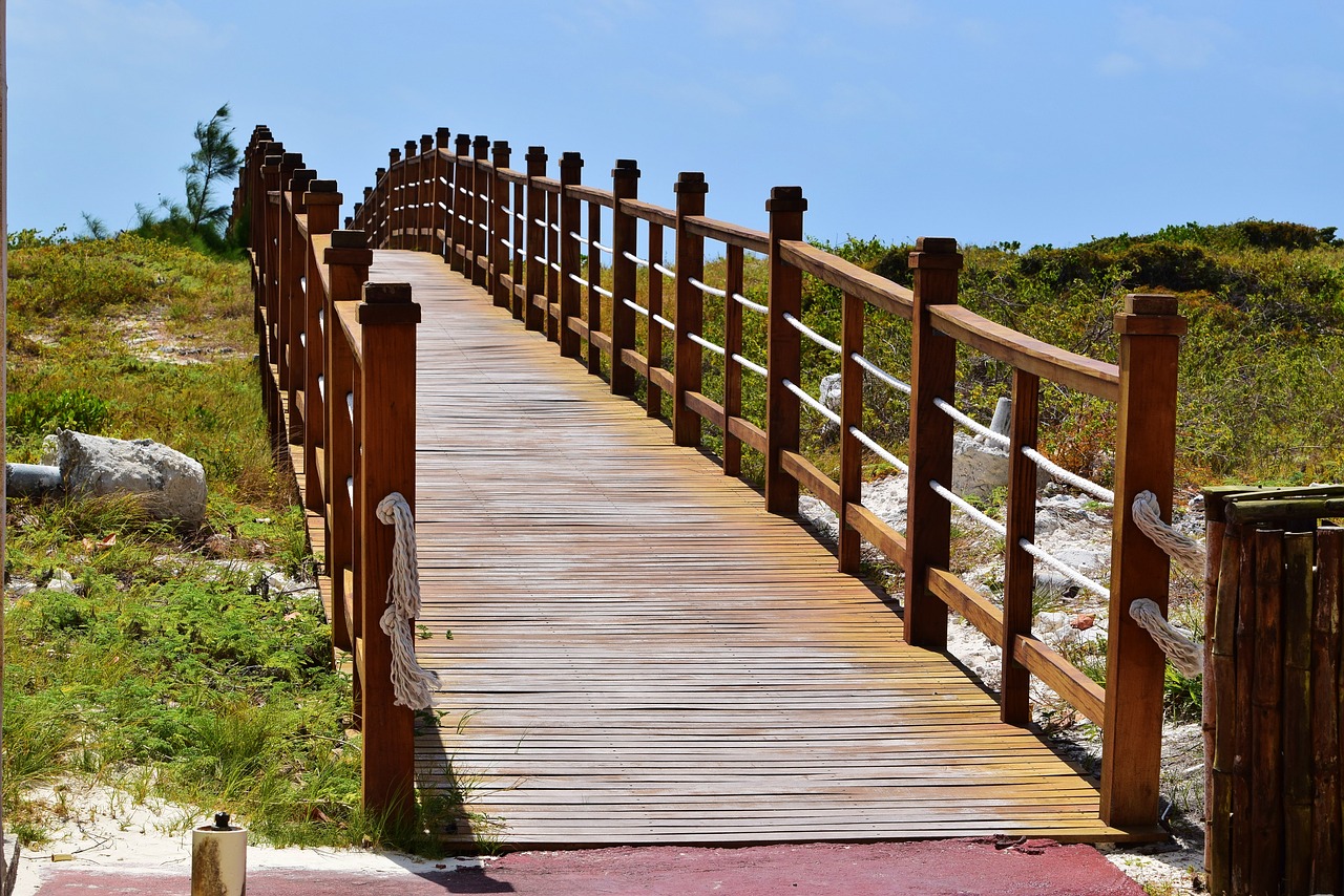 caribbean  bridge  water free photo