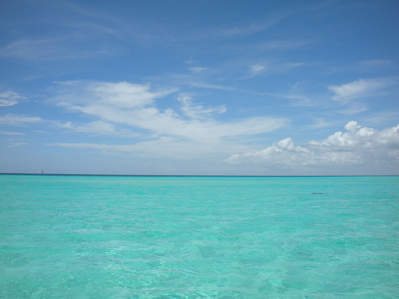 caribbean sea ocean free photo