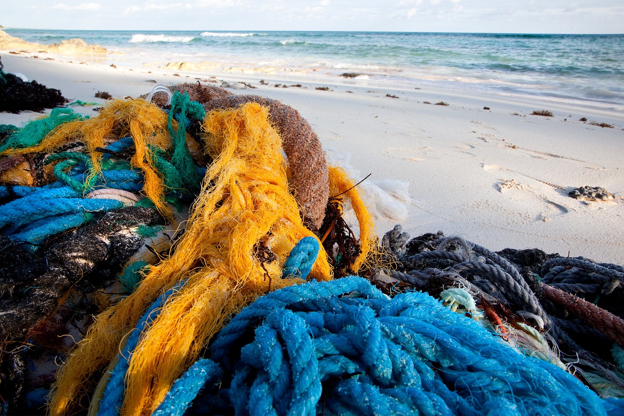 caribbean rope blue free photo