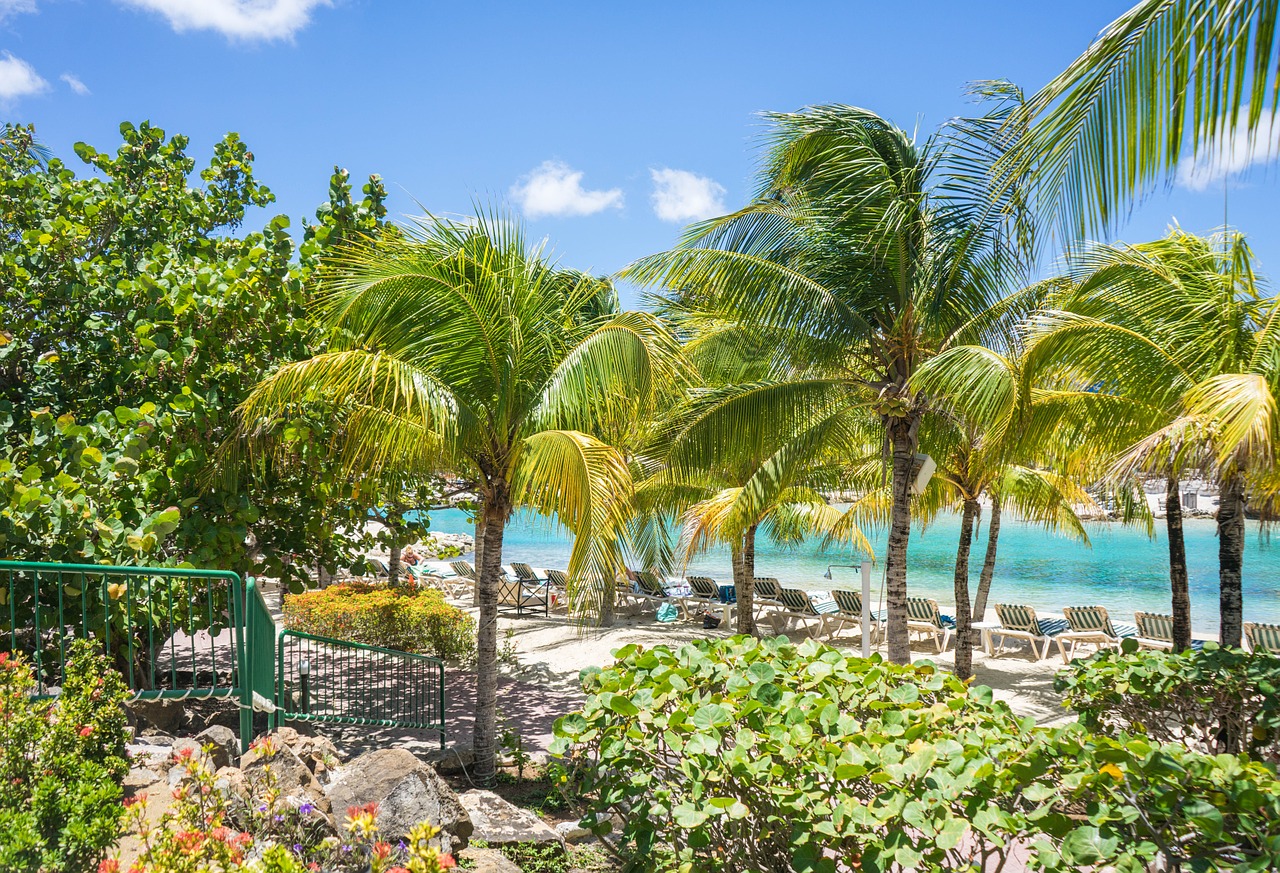 caribbean curacao beach free photo