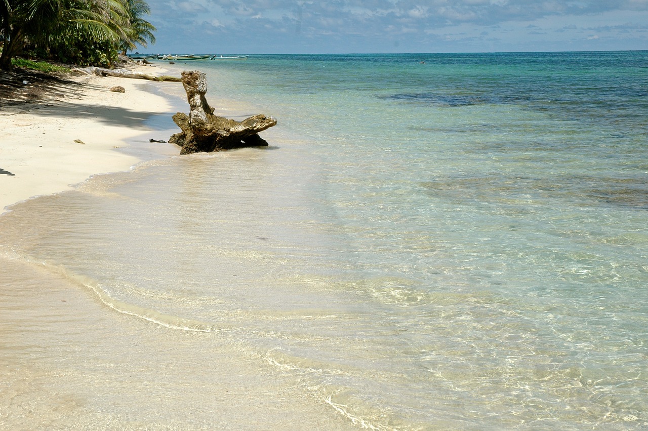 caribbean beach sand free photo