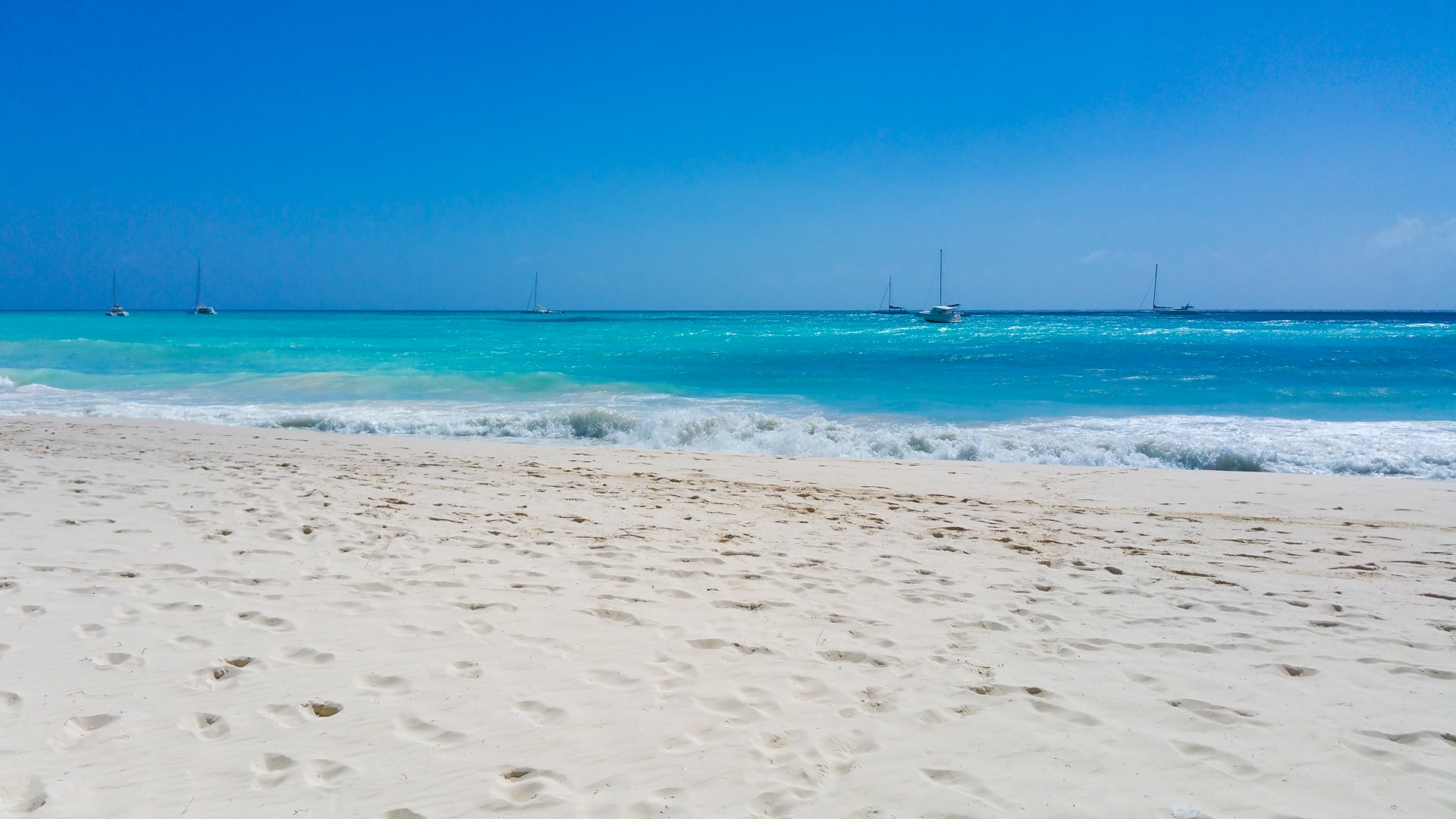 beach blue boats free photo