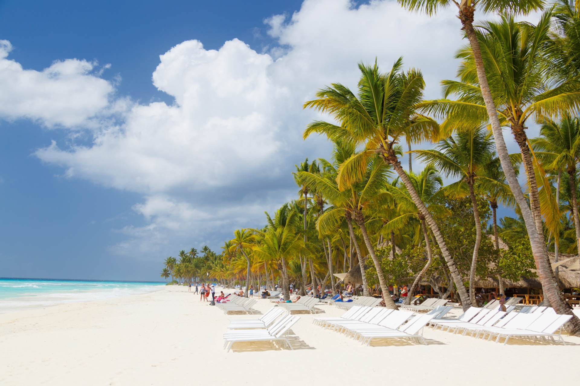 beach blue caribbean free photo