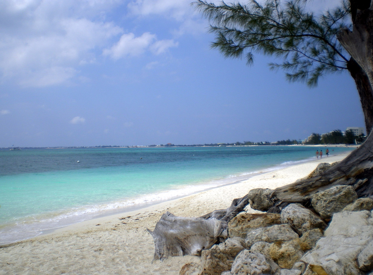 caribbean beach white free photo