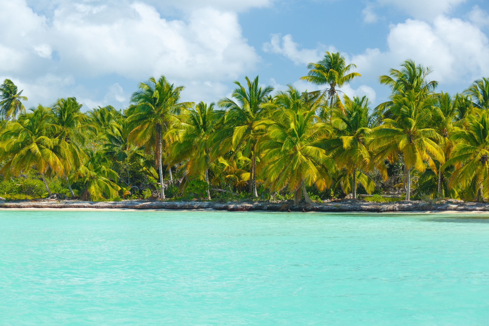 beach blue caribbean free photo