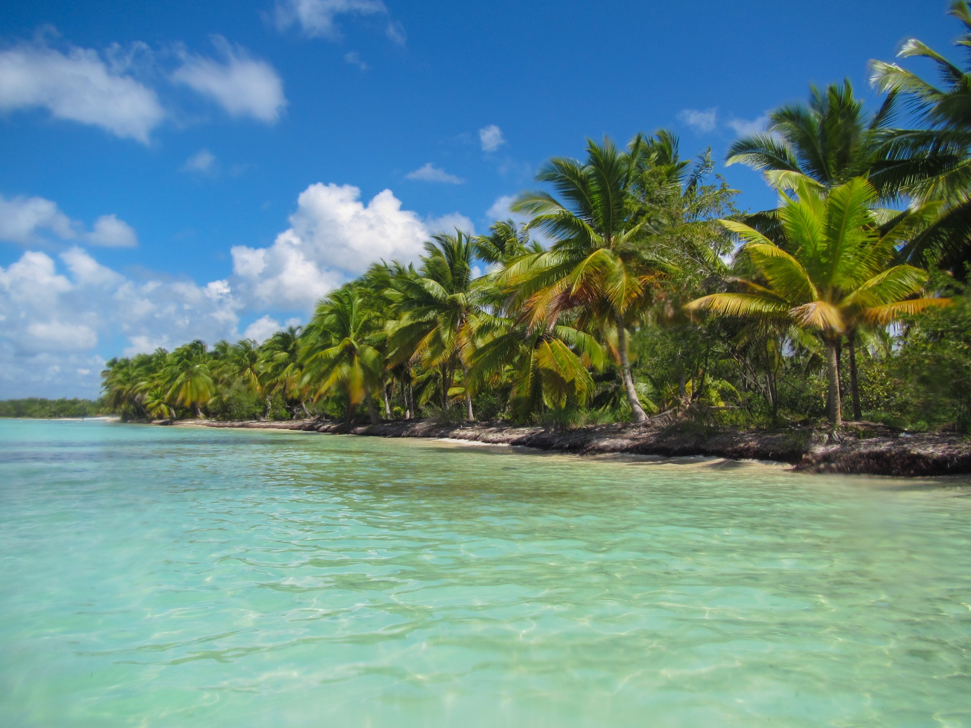 beach blue caribbean free photo