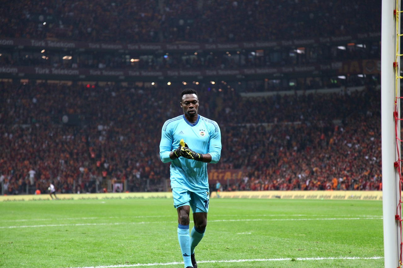 carlos kameni galatasaray fenerbahce free photo