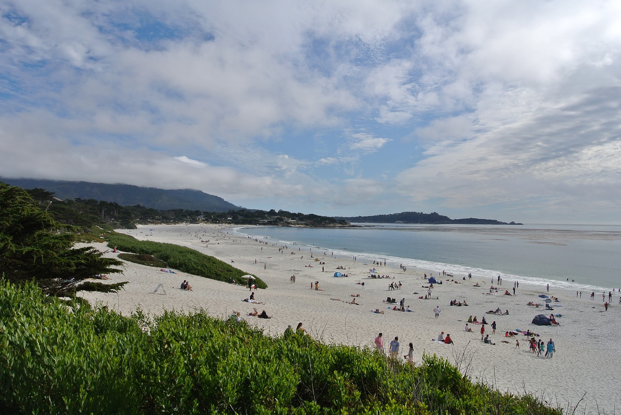 carmel california beach free photo